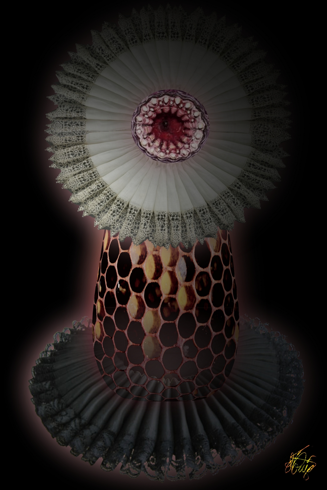 Aerostatus sessile var intrincatum