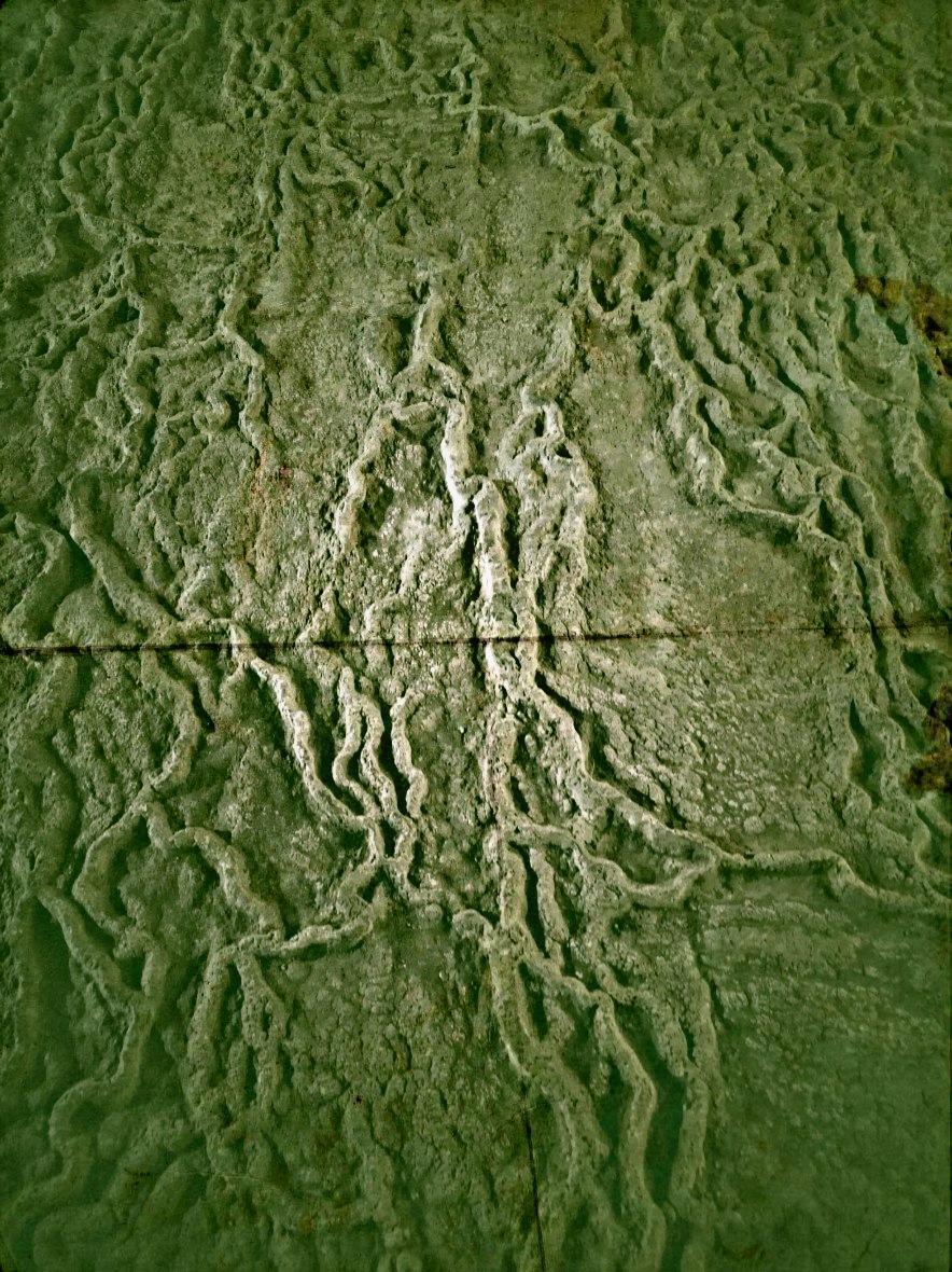 Concrecions calcàries
