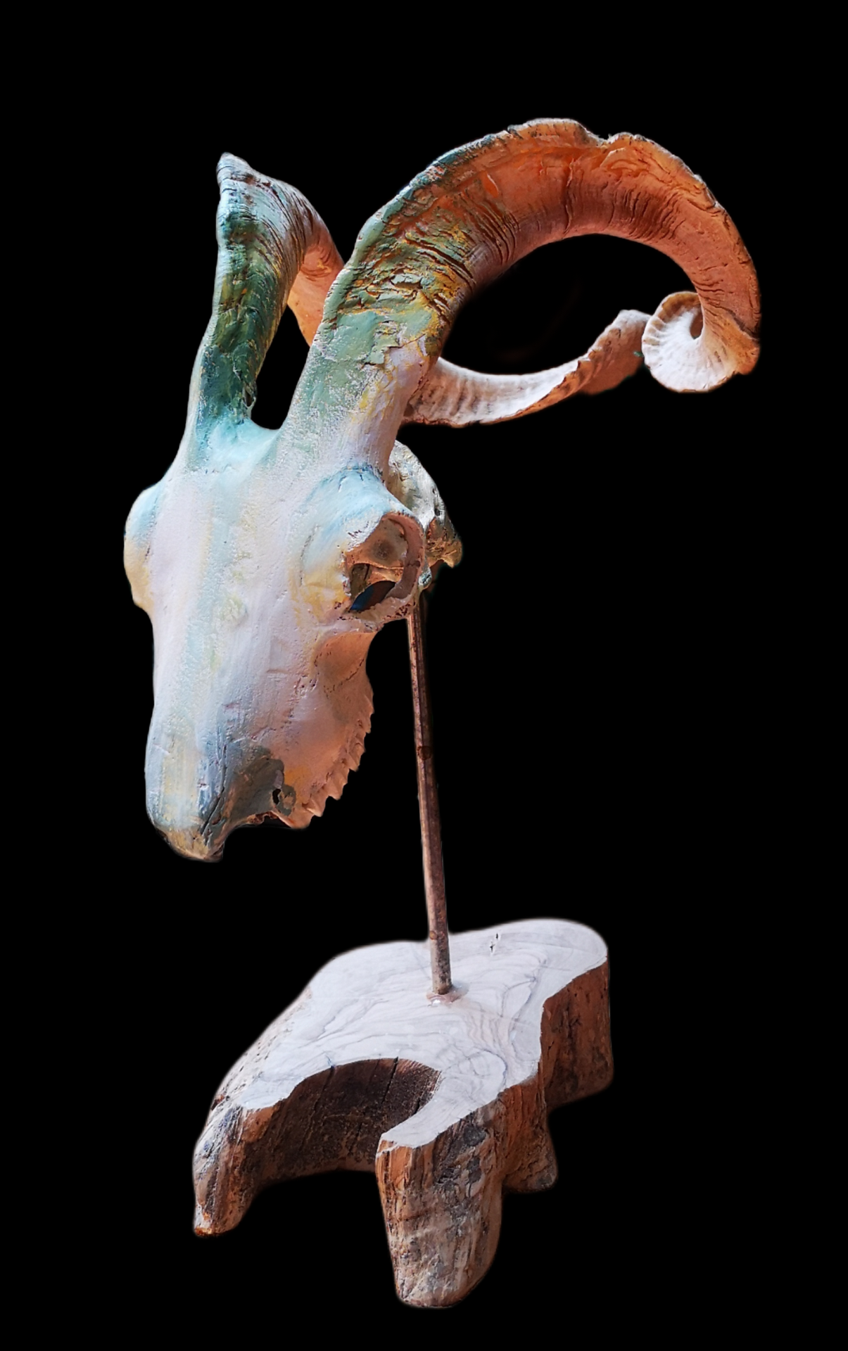 Crani de cabra
