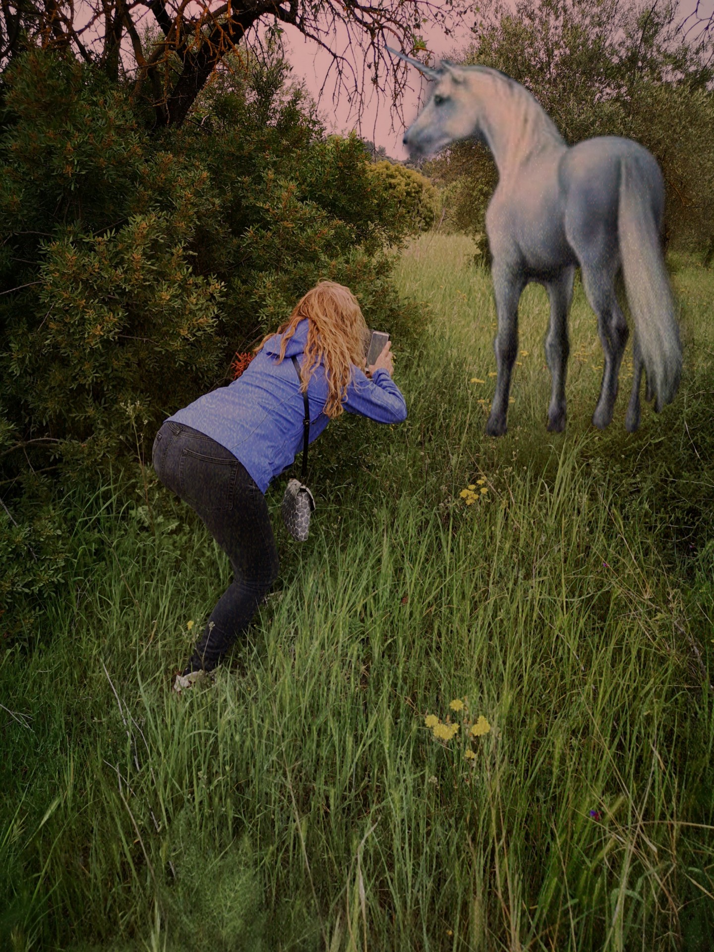Cacera fotogràfica de l'unicorn