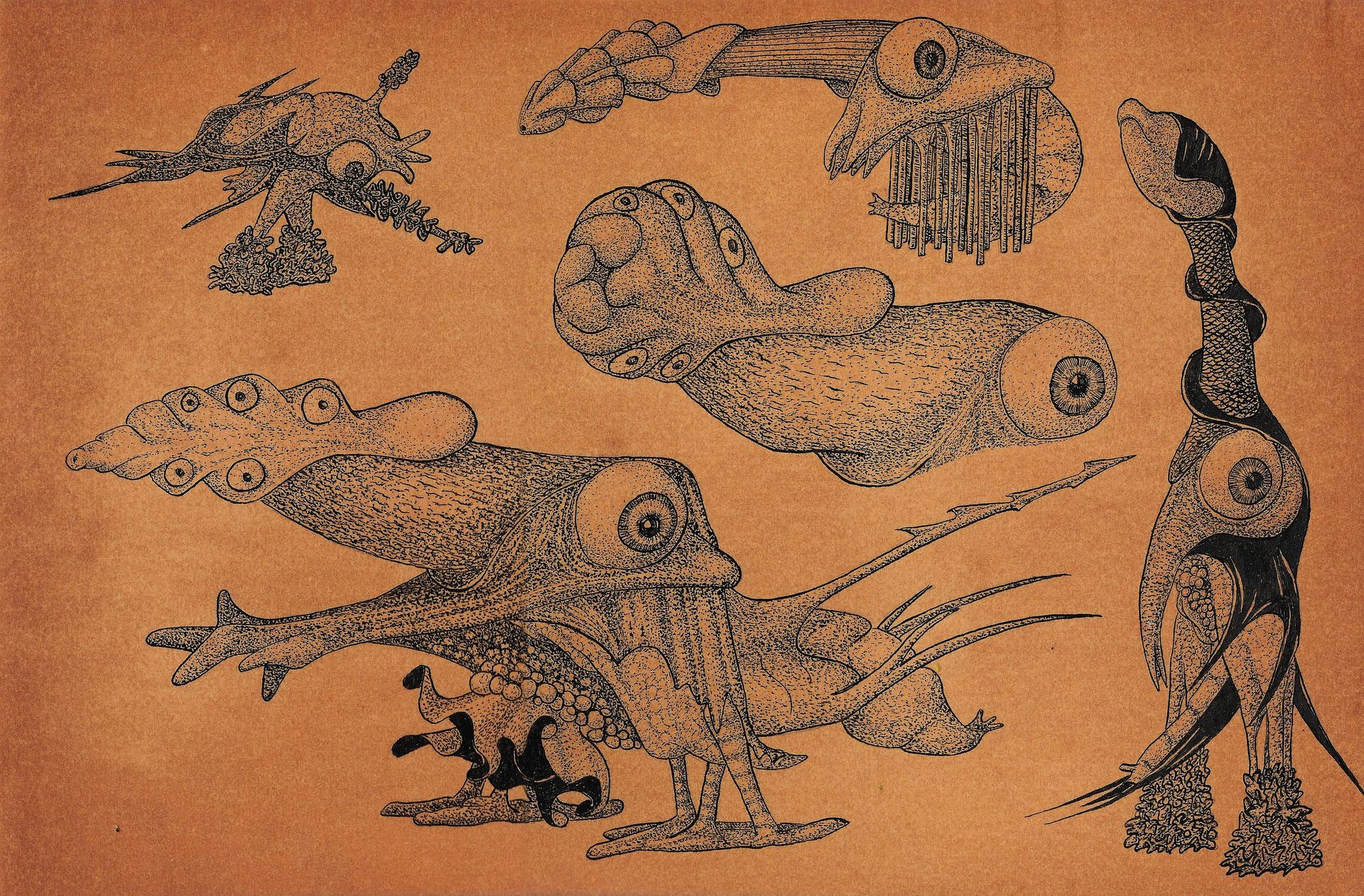 Gonocephalus