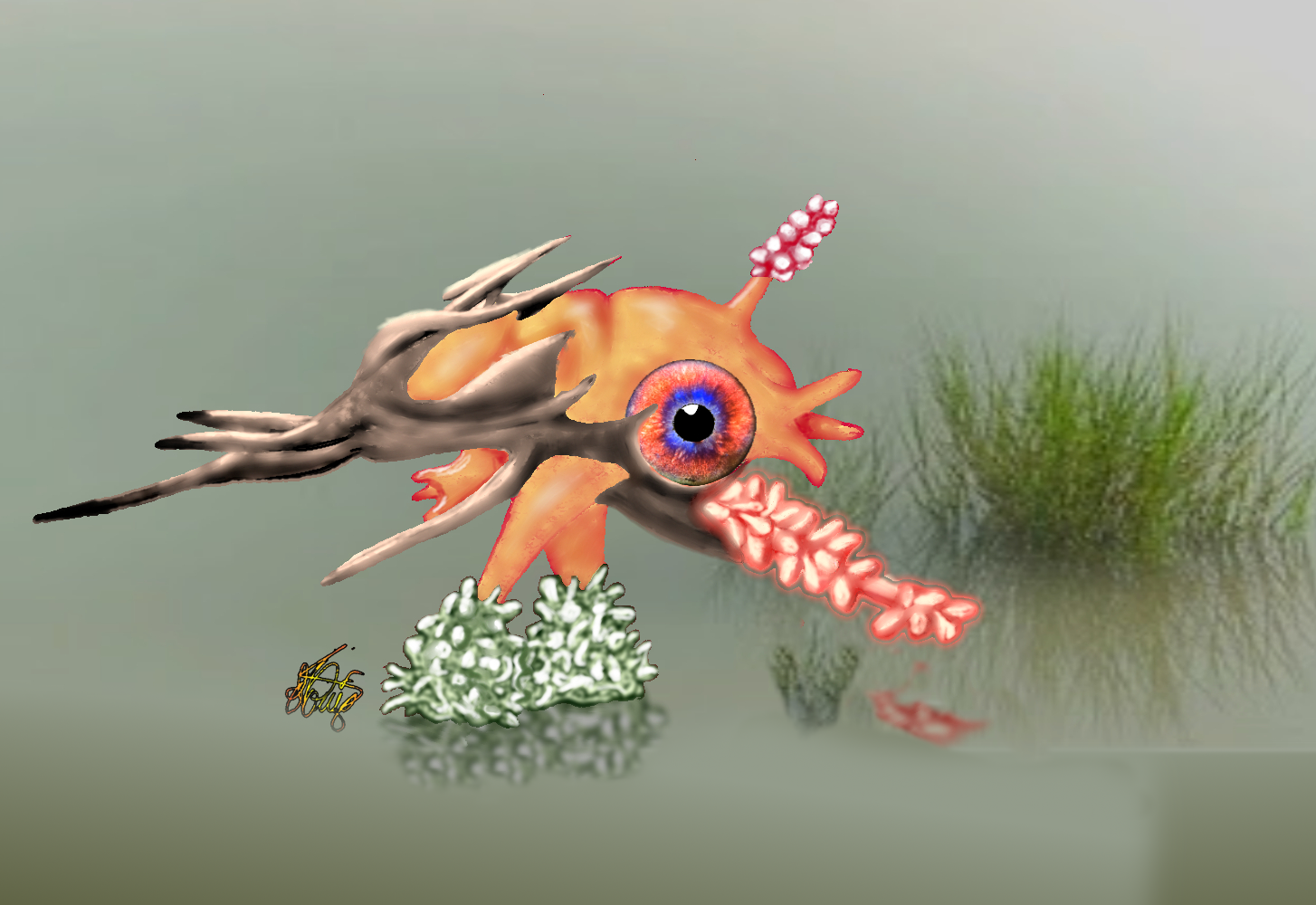 Gonocephalus exigus