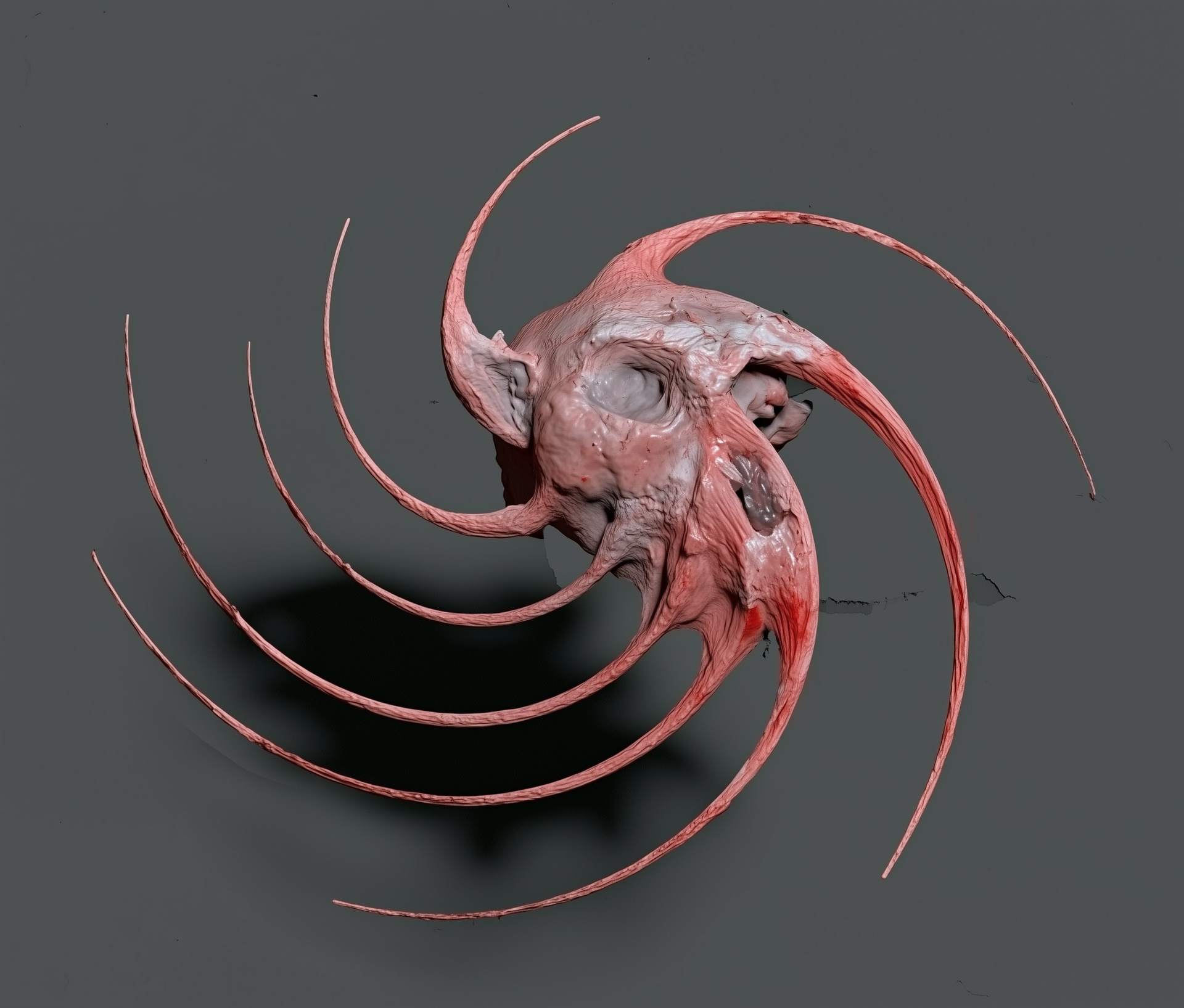Spiculis spirali-formibus