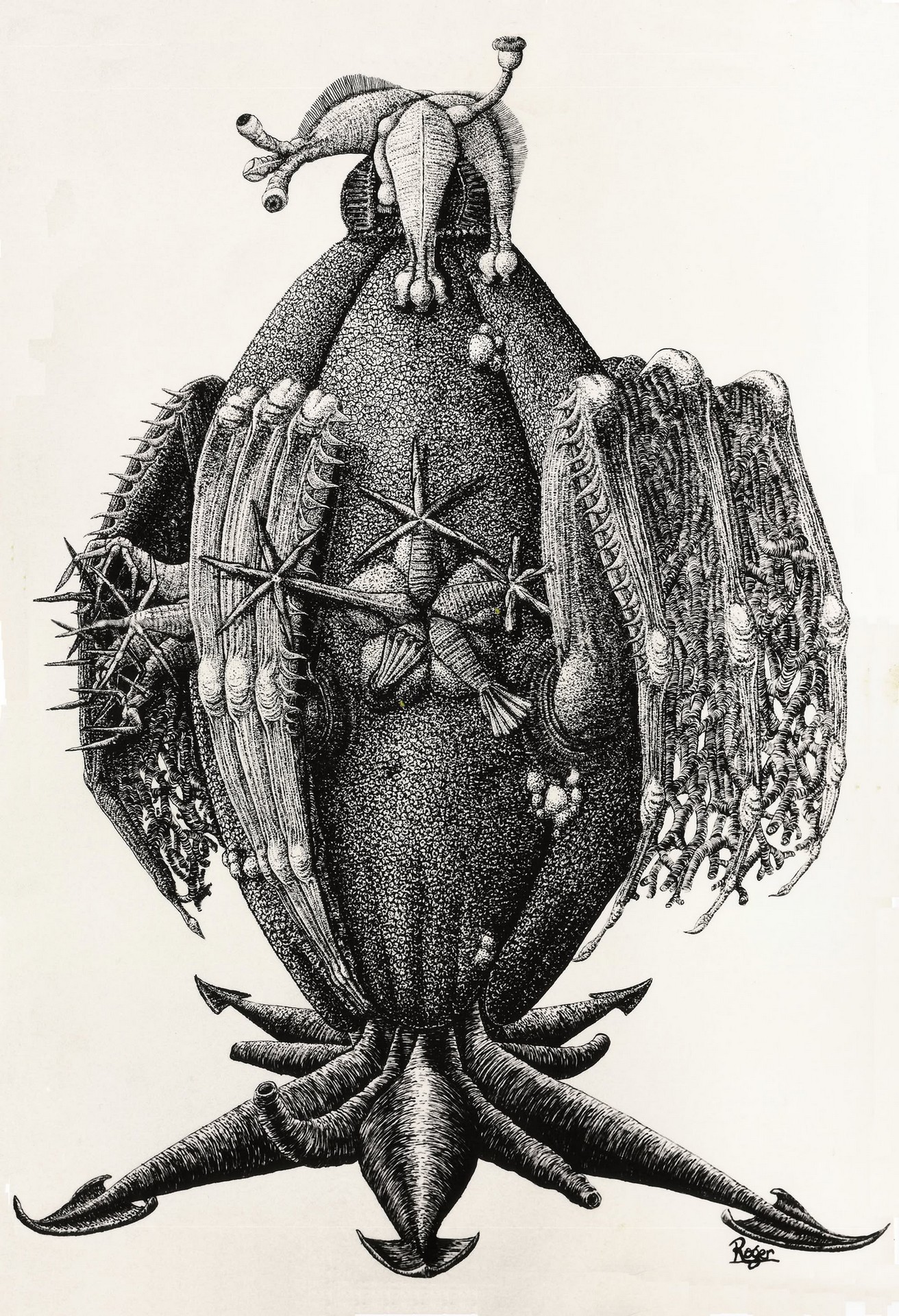 Fauna diversa